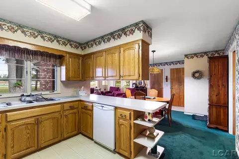 804 River Acres, Tecumseh, MI 49286 photo 8
