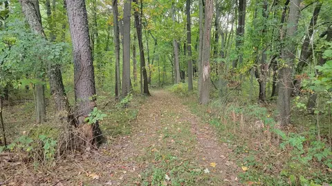 0 Mull, Tipton, MI 49287 photo 13