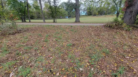 0 Mull, Tipton, MI 49287 photo 4