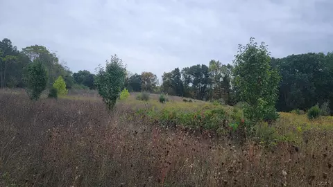 0 Mull, Tipton, MI 49287 photo 18