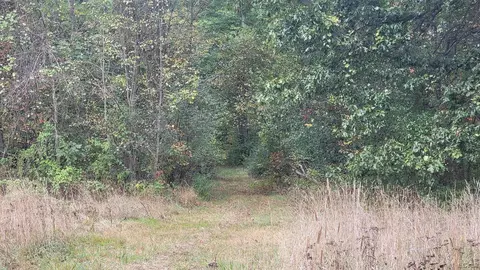 0 Mull, Tipton, MI 49287 photo 11