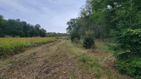 0 Mull, Tipton, MI 49287 photo 6