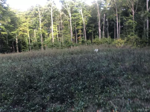 N6975 Olson, Shingleton, MI 49884 photo 3