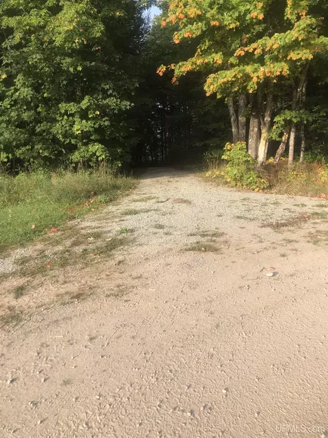 N6975 Olson, Shingleton, MI 49884 photo 2