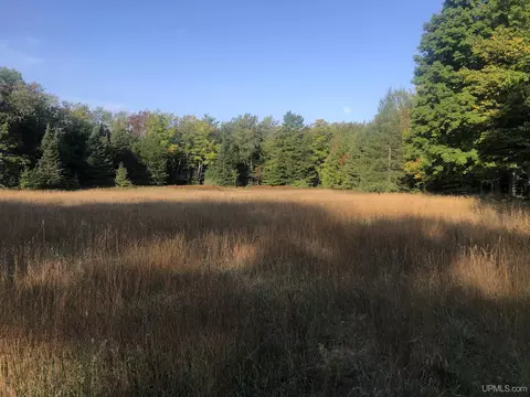 N6975 Olson, Shingleton, MI 49884 photo 8