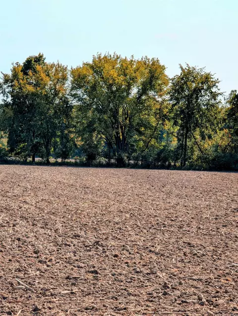 31 Mile, Ray Twp, MI 48096