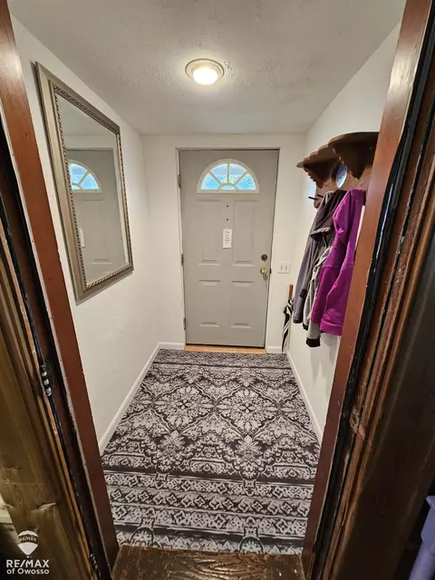 Entry Way - 202 E Main, Elsie, MI 48831 photo 1 of 2