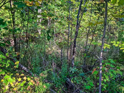 Nhn Arthur, Harrison, MI 48625 photo 5