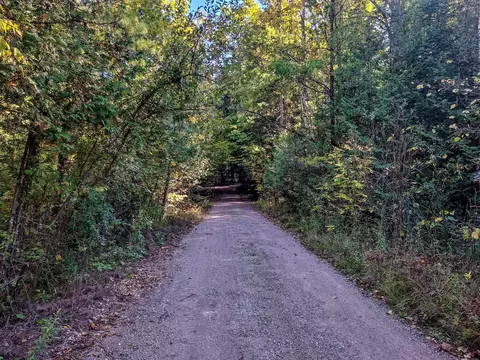 Nhn Arthur, Harrison, MI 48625 photo 6