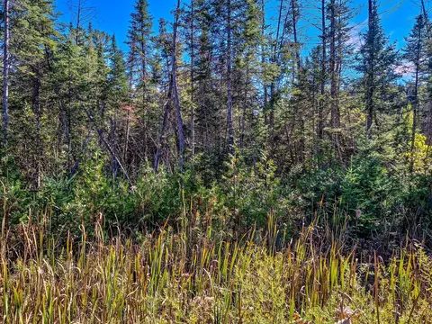 Nhn E Townline Lake, Harrison, MI 48625