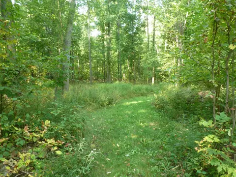 7623 N Carter, Bentley, MI 48613 photo 23