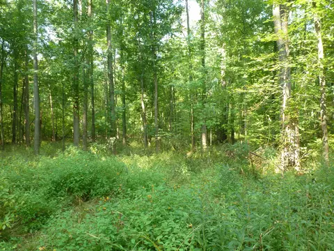 7623 N Carter, Bentley, MI 48613 photo 25