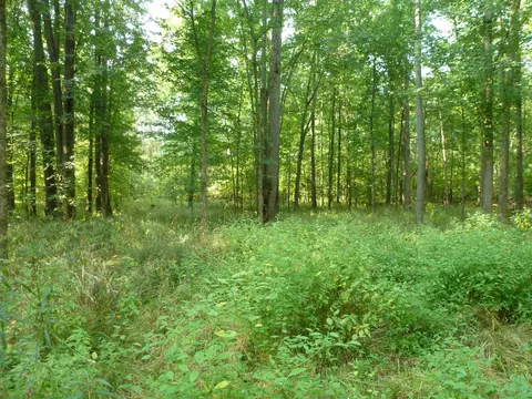 7623 N Carter, Bentley, MI 48613 photo 24