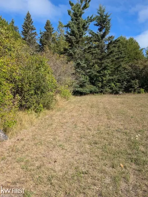 0 Dawson, Detour Village, MI 49725