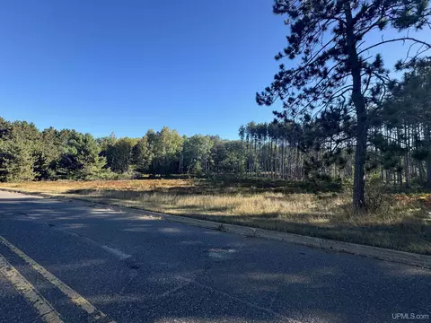 169 N 173 N Pyle, Kingsford, MI 49802