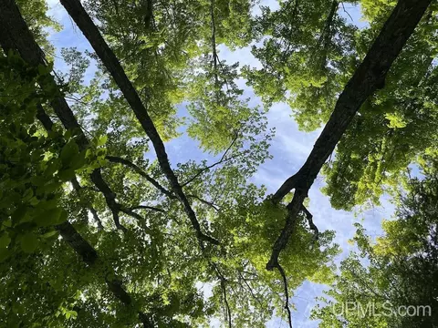 tbd Off The Hazel #NO LEGAL INSURABLE ROAD ACCE, Twin Lakes, MI 49965