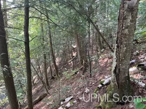 tbd M26, Eagle River, MI 49950 photo 9