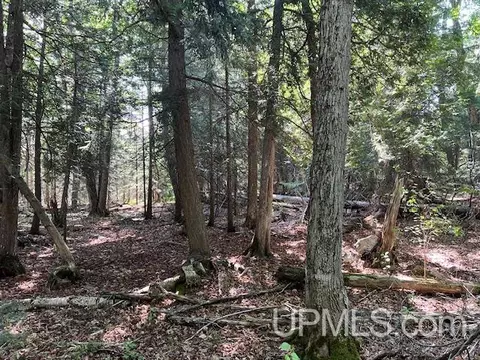 tbd M26, Eagle River, MI 49950 photo 4