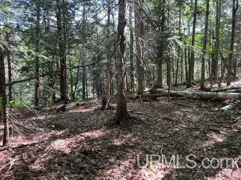 tbd M26, Eagle River, MI 49950 photo 3