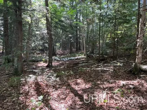 tbd M26, Eagle River, MI 49950 photo 5