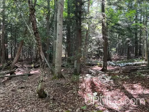 tbd M26, Eagle River, MI 49950 photo 6