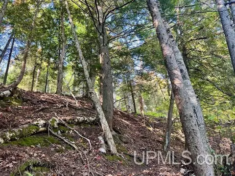 tbd M26, Eagle River, MI 49950 photo 23