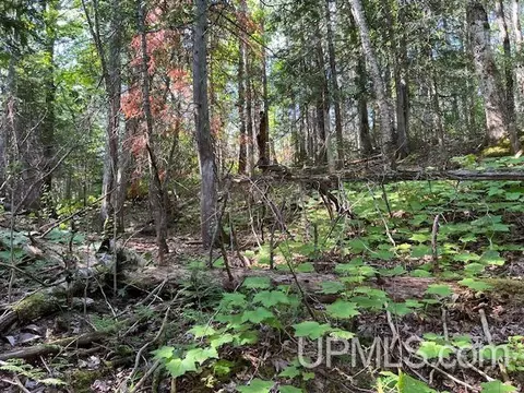 tbd M26, Eagle River, MI 49950 photo 7