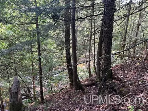 tbd M26, Eagle River, MI 49950 photo 11