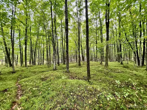 tbd Swede Settlement, Vulcan, MI 49892