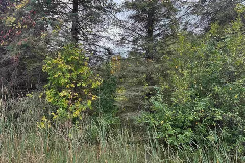 W Vienna, Clio, MI 48420