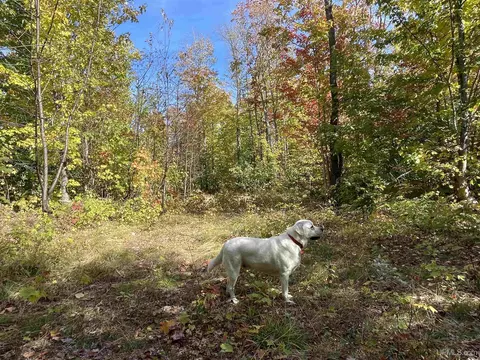 tbd 160 Acres Off H-58, Grand Marais, MI 49839