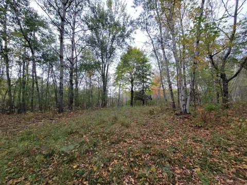 5362 Hockaday, Gladwin, MI 48624 photo 9