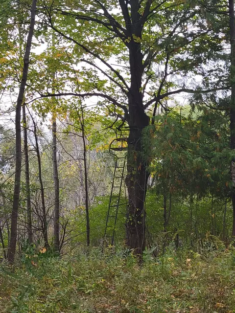 5362 Hockaday, Gladwin, MI 48624 photo 8