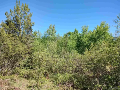 74 Acres Us41, Covington, MI 49919 photo 13