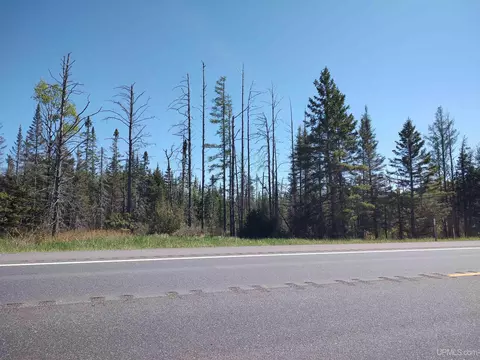74 Acres Us41, Covington, MI 49919 photo 3