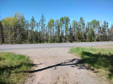 74 Acres Us41, Covington, MI 49919 photo 10