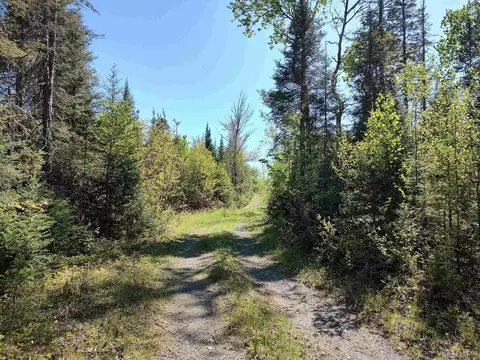 74 Acres Us41, Covington, MI 49919