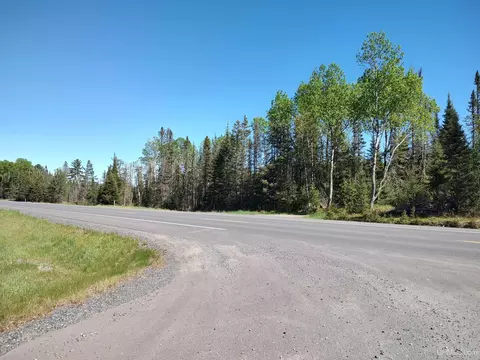 74 Acres Us41, Covington, MI 49919 photo 5
