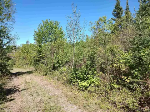 74 Acres Us41, Covington, MI 49919 photo 2