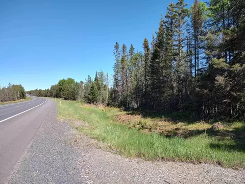 74 Acres Us41, Covington, MI 49919 photo 8