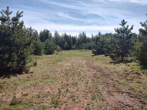 58 Acres Co Rd Fn, Champion, MI 49814