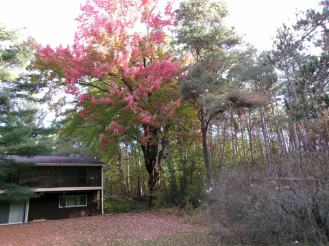 Exterior - 7571 Patsy Pl, Lake, MI 48632 photo 11 of 17