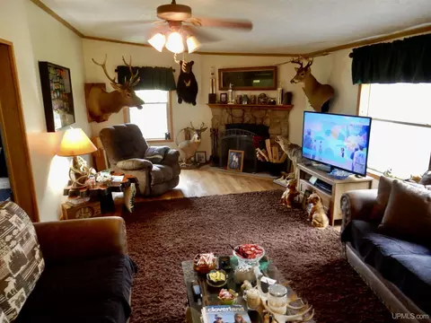8950 N Wolfe, Germfask, MI 49836 photo 2