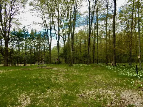 8950 N Wolfe, Germfask, MI 49836 photo 23