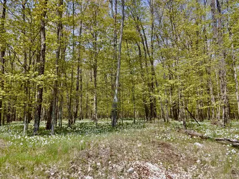 8950 N Wolfe, Germfask, MI 49836 photo 42