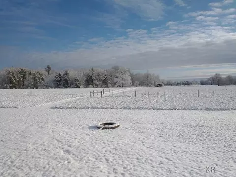 Other - 2254 N Clarwin, Gladwin, MI 48624 photo 10 of 15