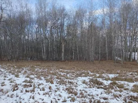 Other - 2254 N Clarwin, Gladwin, MI 48624 photo 14 of 15