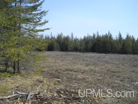 tbd V, Rapid River, MI 49878 photo 9