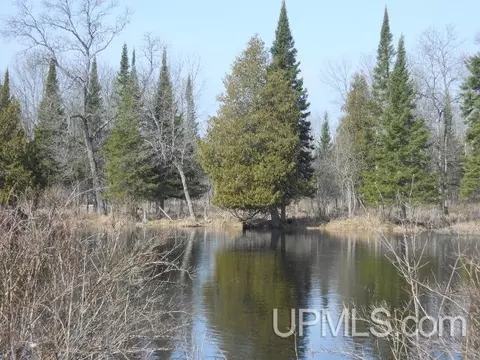 tbd V, Rapid River, MI 49878 photo 3