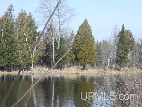 tbd V, Rapid River, MI 49878 photo 5